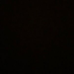 Meet your Posher, Delaney